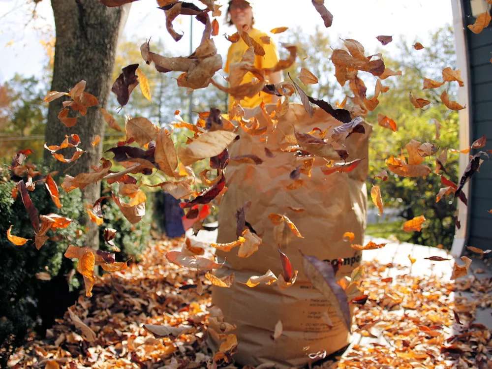 A paper yard-waste bag on a patio with leaves flying through the air around it.